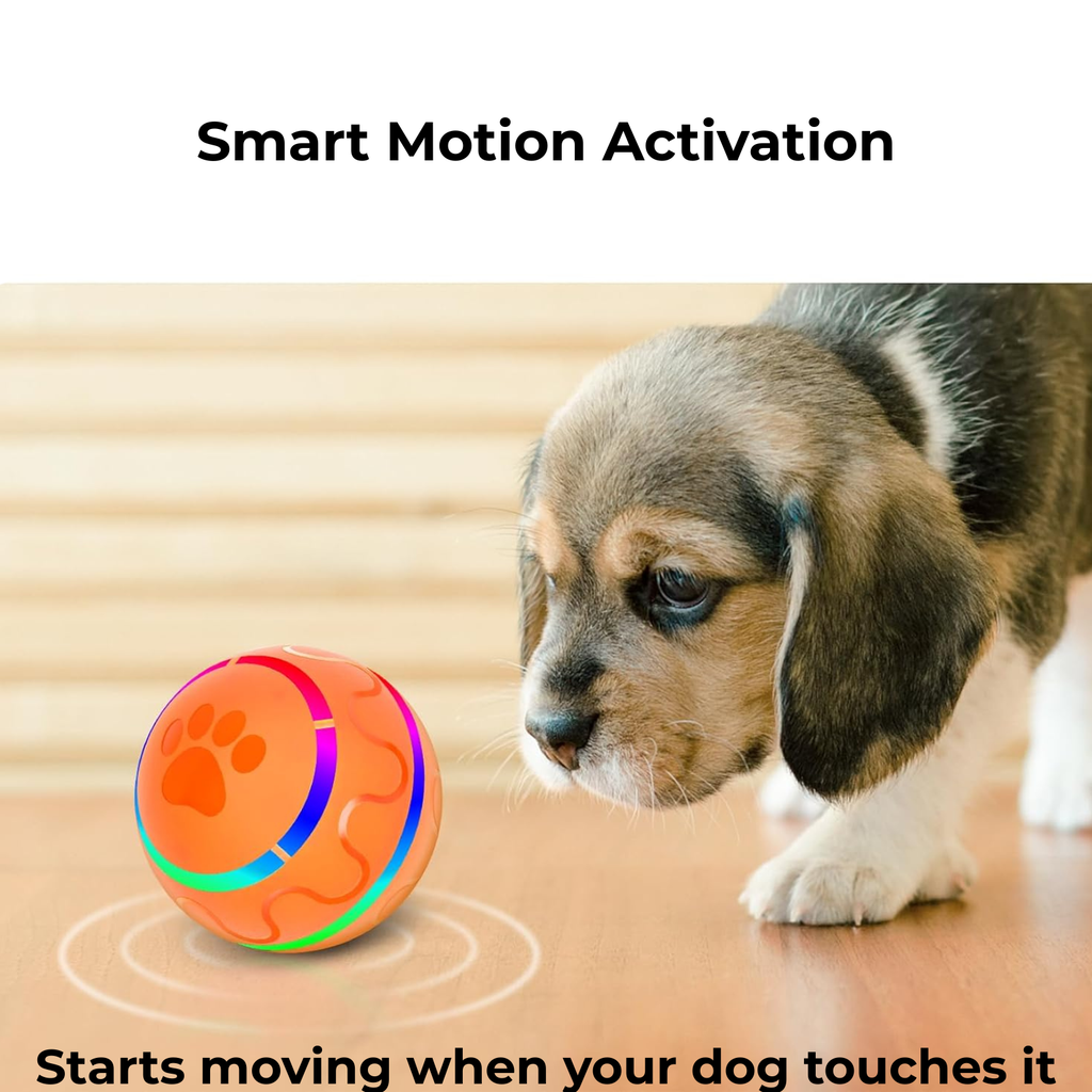 Smart Interactive Dog Ball - (Rechargeable)