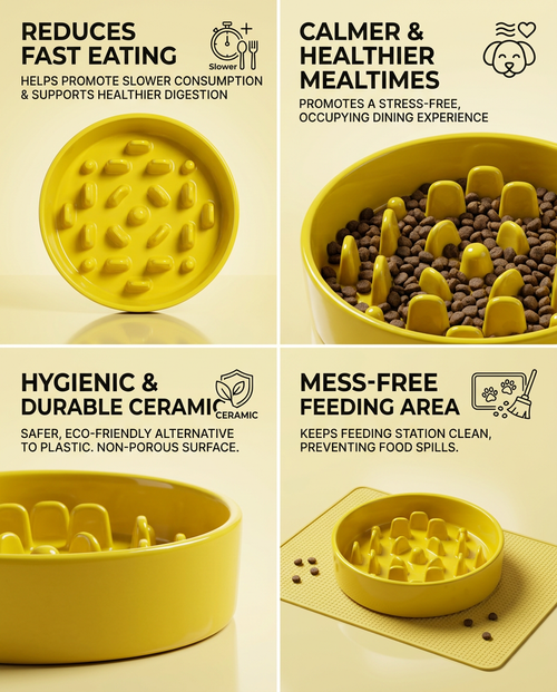 Ceramic Slow Feeder Dog Bowl - (Yellow)